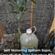 Botol air mineral ditebuk lubang kecil digunakan sebagai self watering system untuk menyiram tanaman secara perlahan ketika pemilik tiada di rumah.