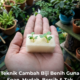 Biji benih bercambah dalam span basah di dalam tray semaian untuk tanaman hidroponik di rumah