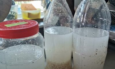 racun nasi