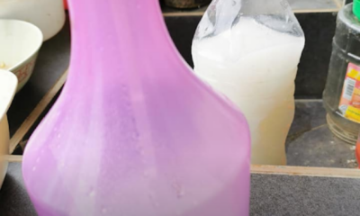 Nasi putih dimasukkan ke dalam botol plastik untuk dijadikan racun organik