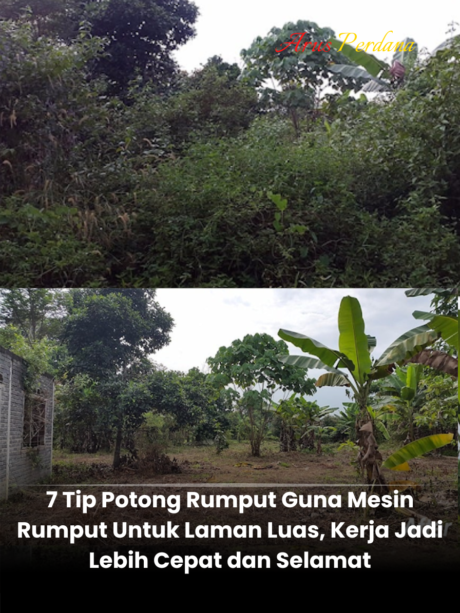 7 Tip Potong Rumput Guna Mesin Rumput Untuk Laman Luas