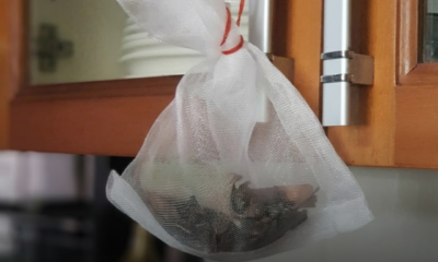 Bunjut rempah berisi kayu manis, bunga lawang, buah pelaga dan bunga cengkih diletakkan dalam kabinet dapur untuk halau lipas.