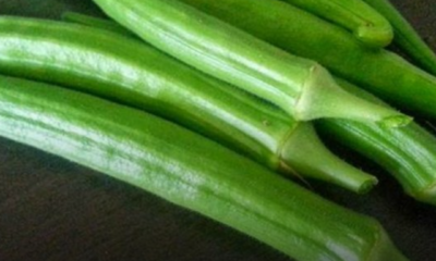 Bendi muda segar sesuai dimasak pelbagai jenis masakan