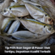 Ikan segar berkilat di pasar dengan kualiti terbaik