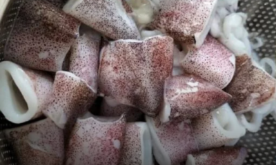 Tip Sotong Tidak Liat