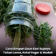 Daun kari segar dipetik untuk dijadikan stok simpanan dapur