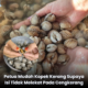 Cara mudah kopek kerang supaya isi tidak melekat pada cengkerang dan kekal cantik selepas direbus.