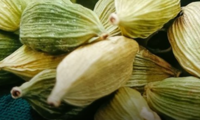Buah pelaga yang dipecahkan untuk mengeluarkan biji rempah sebelum digunakan dalam masakan berempah