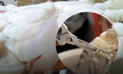 Ketam segar sedang dibersihkan dan disiang di dapur sebelum dimasak dengan membuang insang serta kotoran pada badan ketam.