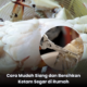 Ketam segar sedang dibersihkan dan disiang di dapur sebelum dimasak dengan membuang insang serta kotoran pada badan ketam.