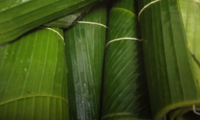 Daun pisang segar diikat dan disimpan dalam plastik selepas direndam untuk memastikan tahan lama di dalam peti sejuk.
