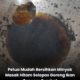 Minyak masak hitam selepas menggoreng ikan cencaru sumbat dijernihkan semula menggunakan bancuhan tepung jagung.