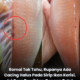 Cara membersihkan ikan kerisi dengan betul sebelum dimasak