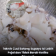 Cara mencuci sotong menggunakan garam kasar sebelum dimasak