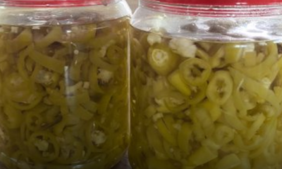 Cili jeruk homemade rangup dan tahan lama