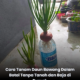 Cara tanam daun bawang dalam botol plastik tanpa tanah