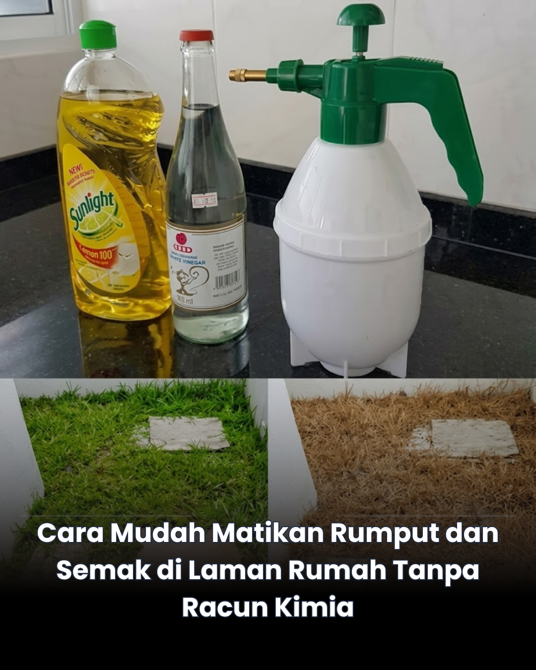 Cara Mudah Matikan Rumput dan Semak di Laman Rumah