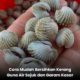 Kerang direndam dalam air sejuk bersama garam kasar dan ais bagi membantu menanggalkan lumpur serta kotoran pada kulit kerang.