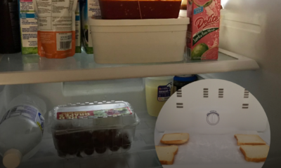 Sekeping roti digunakan sebagai penyerap bau tidak menyenangkan dalam peti sejuk.