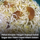 Taugeh segar disimpan dalam bekas berisi air dan asam keping untuk tahan lebih lama dalam peti ais.