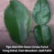 Perbandingan bentuk daun limau purut yang sesuai dan kurang sesuai digunakan dalam masakan.