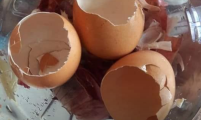 Sisa dapur seperti kulit bawang, kulit telur dan lebihan makanan untuk dijadikan baja organik.