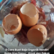 Sisa dapur seperti kulit bawang, kulit telur dan lebihan makanan untuk dijadikan baja organik.