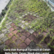 Rumput liar tumbuh di celah batu bata dan paver block di halaman rumah sebelum dibersihkan menggunakan kaedah kawalan rumpai yang mudah dan praktikal.