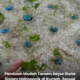 Sistem hidroponik ringkas di rumah menggunakan bekas air dan baja AB untuk tanaman sayur tanpa tanah.