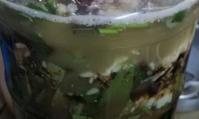 Kangkung segar yang digunakan sebagai bahan utama untuk menghasilkan baja MOL organik.