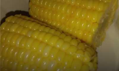 Jagung rebus yang kelihatan gebu, berisi penuh dan tidak kecut seperti dijual di pasar malam.