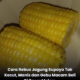 Jagung rebus yang kelihatan gebu, berisi penuh dan tidak kecut seperti dijual di pasar malam.
