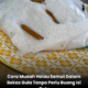 Bekas gula yang dimasuki semut dengan beberapa batang kulit kayu manis digunakan sebagai petua semula jadi untuk menghalau semut dari gula.