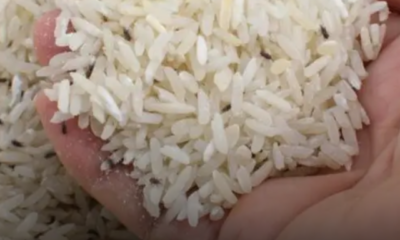 Bekas beras yang dipenuhi kutu beras selepas disimpan dalam tempoh yang lama.