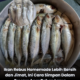 Ikan rebus homemade yang telah dikukus dan disusun kemas dalam bekas untuk disimpan di dalam freezer.