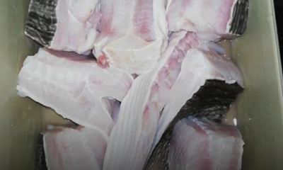 Cara mencuci ikan pari menggunakan garam, air beras dan air kapur bagi menghilangkan bau hancing sebelum dimasak.