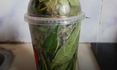 Petua menyimpan daun kesum dalam bekas berisi air supaya kekal segar dan tahan lama di dalam peti sejuk.