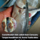 Ikan cencaru segar yang masih mempunyai kulit luar atau jaket sebelum dibersihkan.