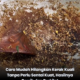 Cara membersihkan kerak kuali dengan mengisi air mengikut jumlah kerak yang melekat pada permukaan kuali.