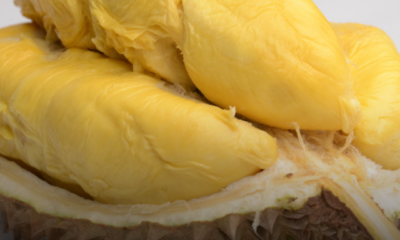Menyediakan plastik wrap dan bekas plastik untuk menyimpan isi durian dalam freezer.