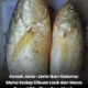 Gelama Kuning Dada antara spesies ikan gelama yang mempunyai isi manis dan sedap dijadikan lauk.