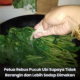 Pucuk ubi segar yang sedia untuk direbus sebagai ulam kampung.