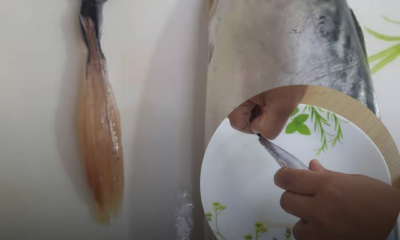 Ikan tongkol segar yang belum disiang sebelum proses membuang bahagian isi yang dipercayai berbisa.
